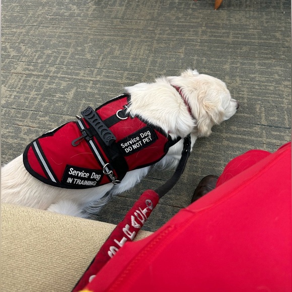 GRACIE MAE LLC Other - Gracie at work today. 
DO NOT HIT BUY. NOT FOR SALE
